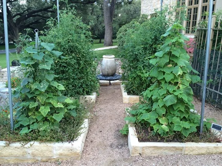 Trusted outdoor landscaping in San Antonio, TX by Alon Landscape Design-Build