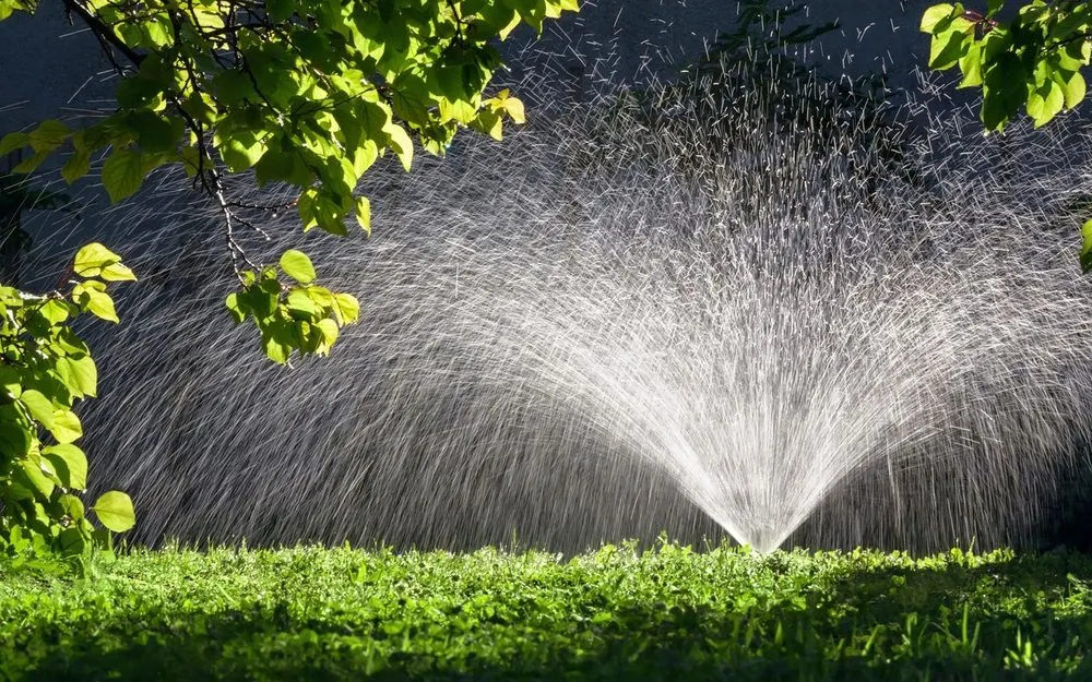 Custom lawn care service in San Antonio, TX - Alon Landscape Design-Build