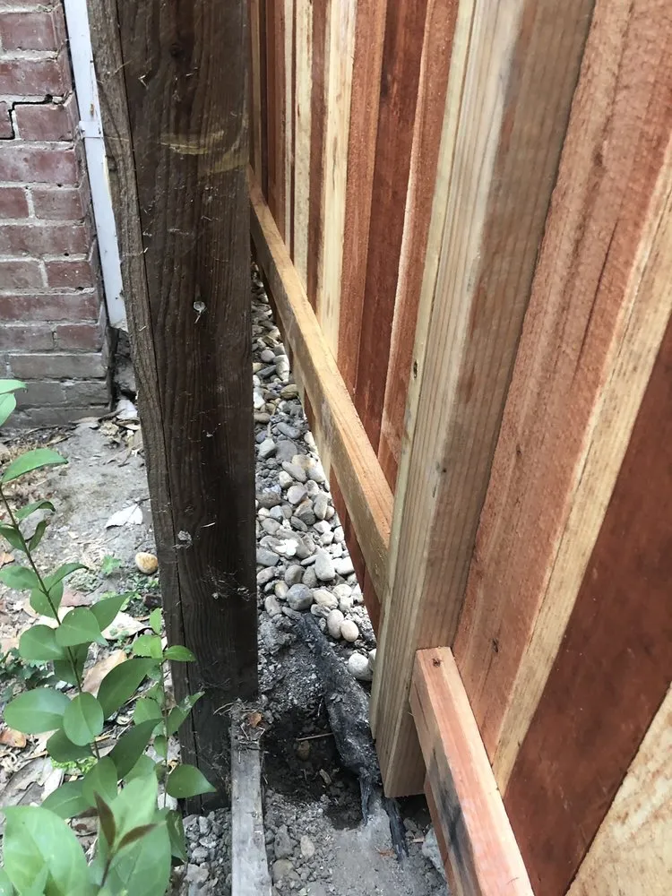 Top-rated landscape installation in Sacramento, CA - Alongi Yardscapes