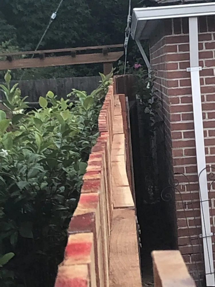 Custom lawn mowing service experts serving Sacramento, CA - Alongi Yardscapes