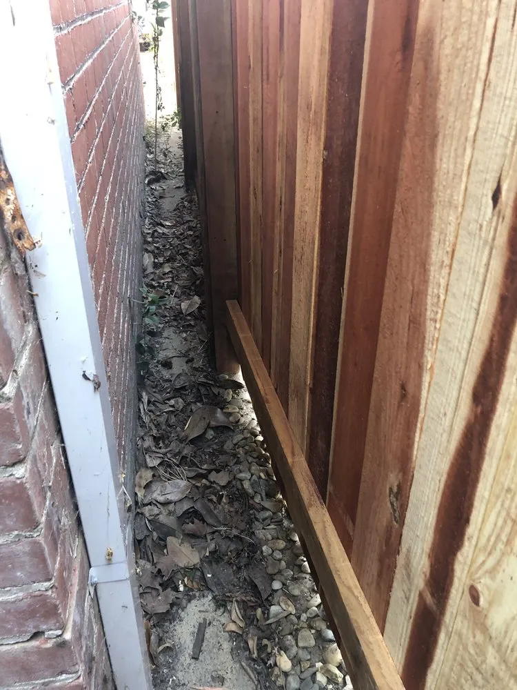 Professional lawn mowing service experts serving Sacramento, CA - Alongi Yardscapes