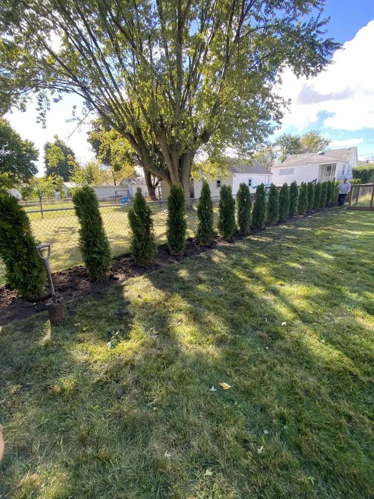 Local lawn mowing service in Highwood, IL by Alonso & Sons Landscaping