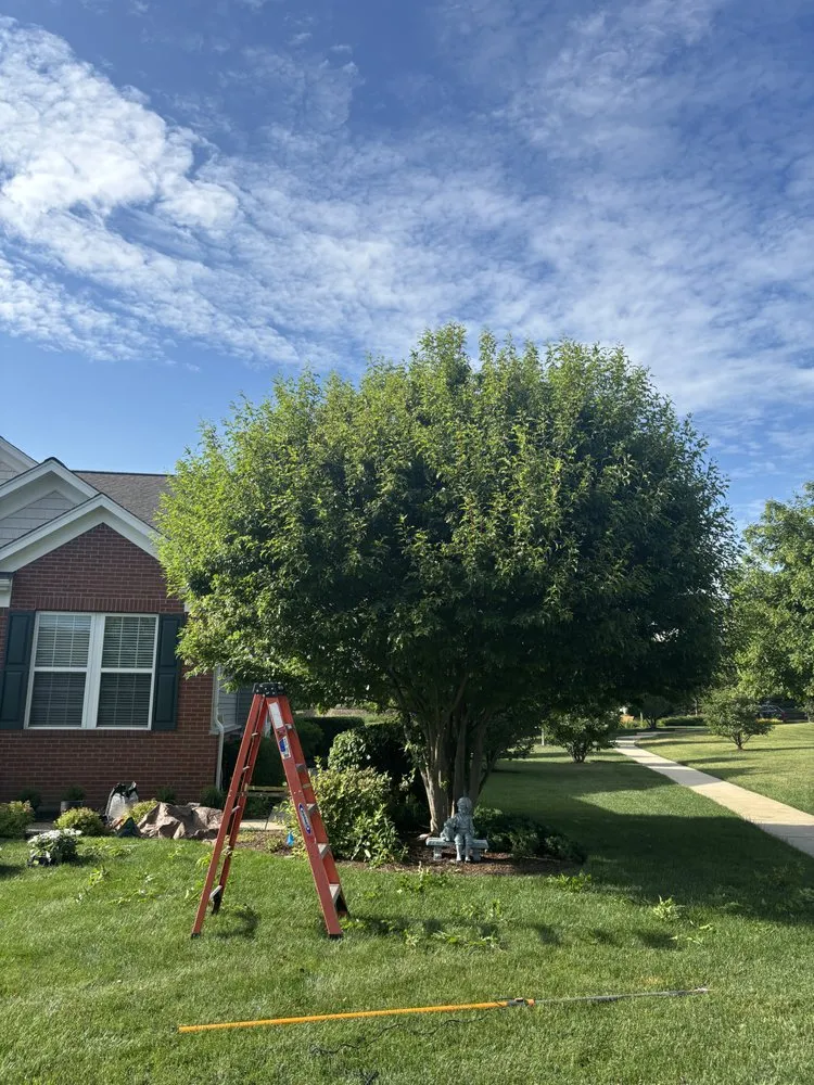 Affordable lawn care service experts serving Highwood, IL - Alonso & Sons Landscaping