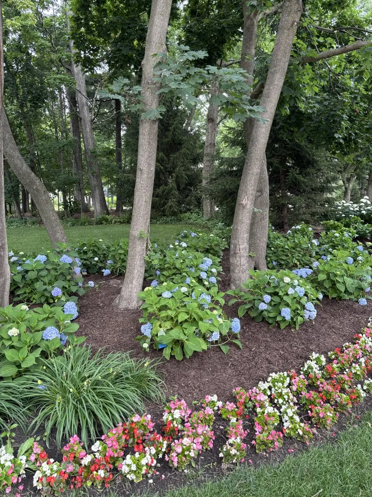 Professional yard cleanup service in Highwood, IL - Alonso & Sons Landscaping