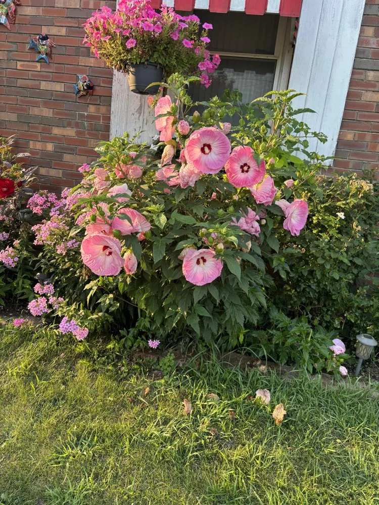 Custom yard cleanup service experts serving Highwood, IL - Alonso & Sons Landscaping