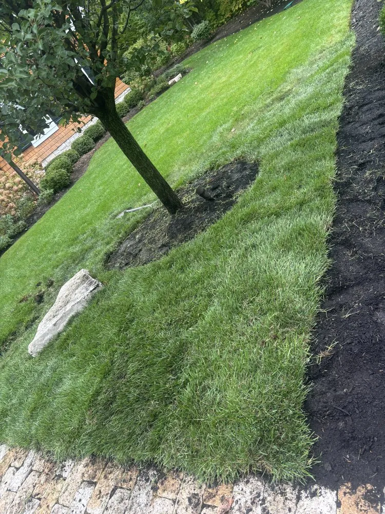 Top-rated residential landscaping in Highwood, IL by Alonso & Sons Landscaping