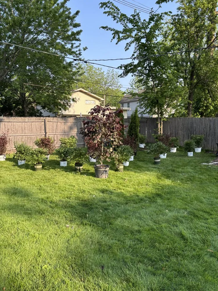 Reliable landscaping services with custom design in Highwood, IL by Alonso & Sons Landscaping