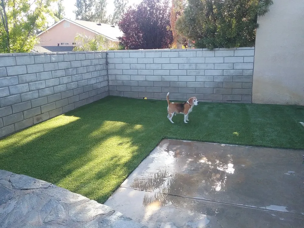 Top-rated yard cleanup service in Beverly Hills, CA - Alonso Landscape Care