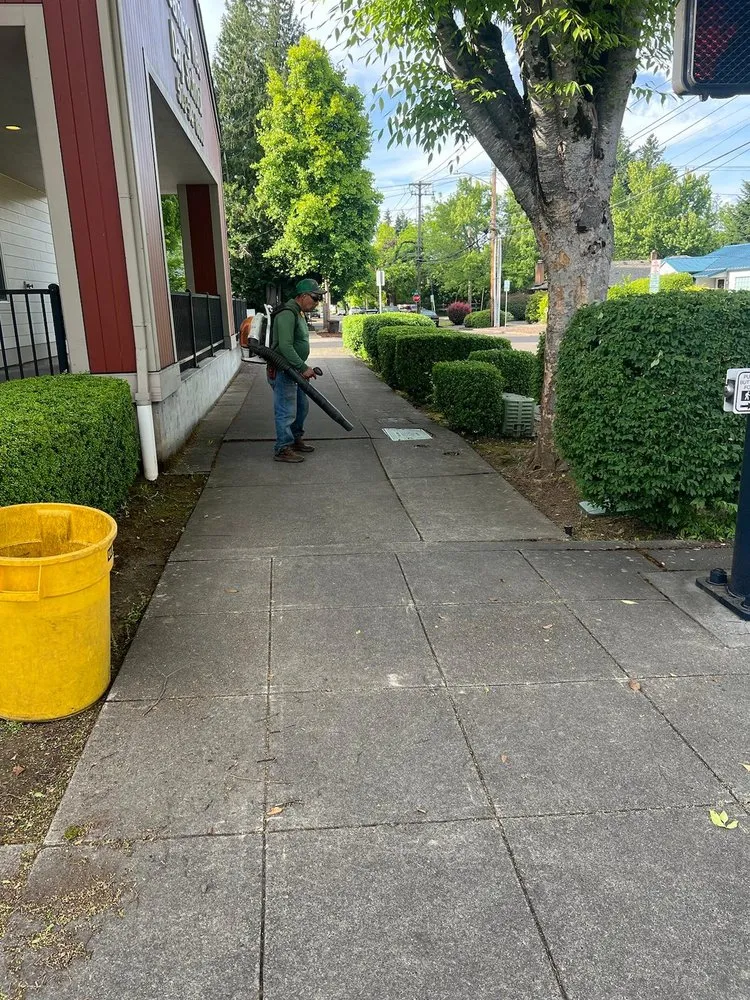 Local outdoor landscaping for outdoor upgrades across Hillsboro, OR - Alonso Landscape Services