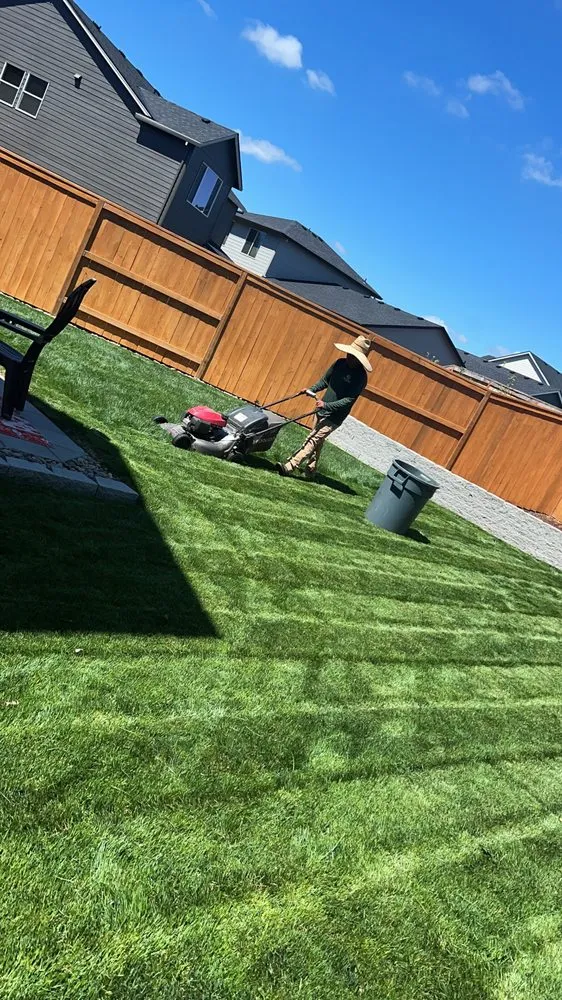 Top-rated garden landscaping in Hillsboro, OR - Alonso Landscape Services