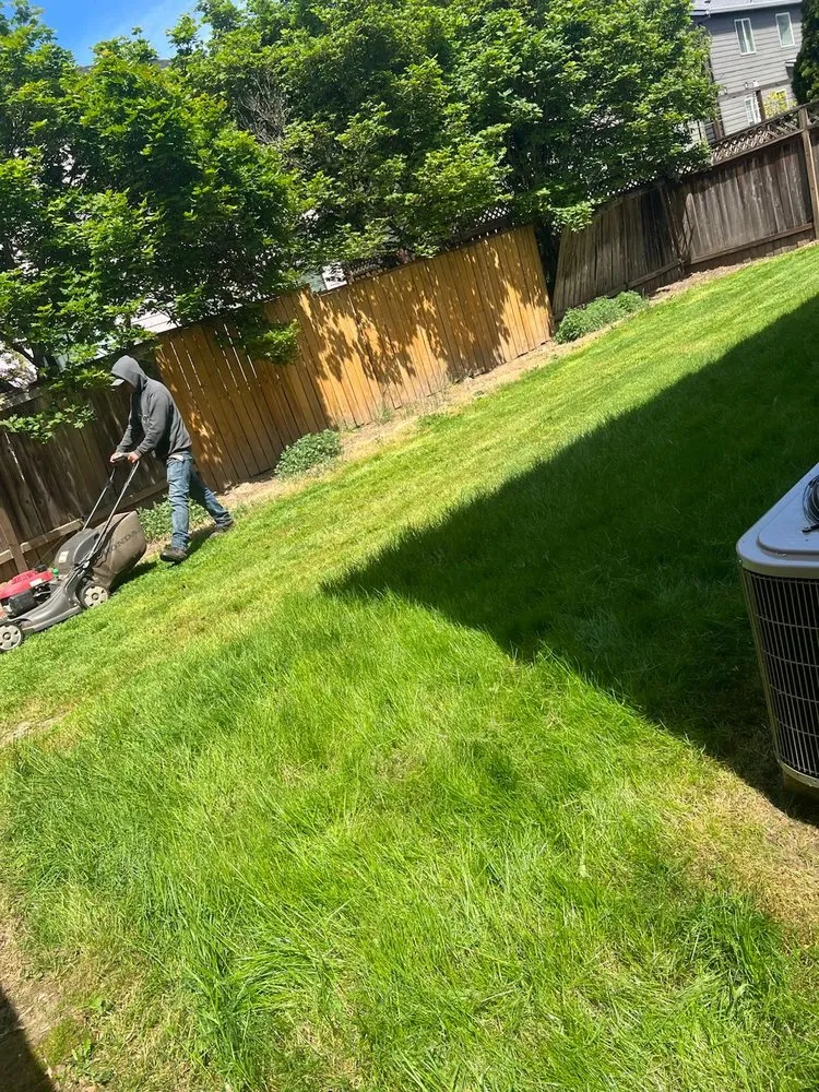 Professional landscaping services for beautiful yards in Hillsboro, OR by Alonso Landscape Services