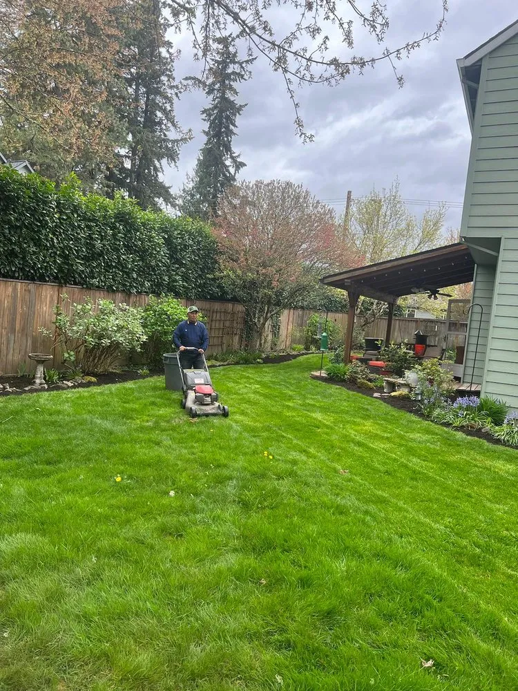 Affordable yard maintenance in Hillsboro, OR - Alonso Landscape Services