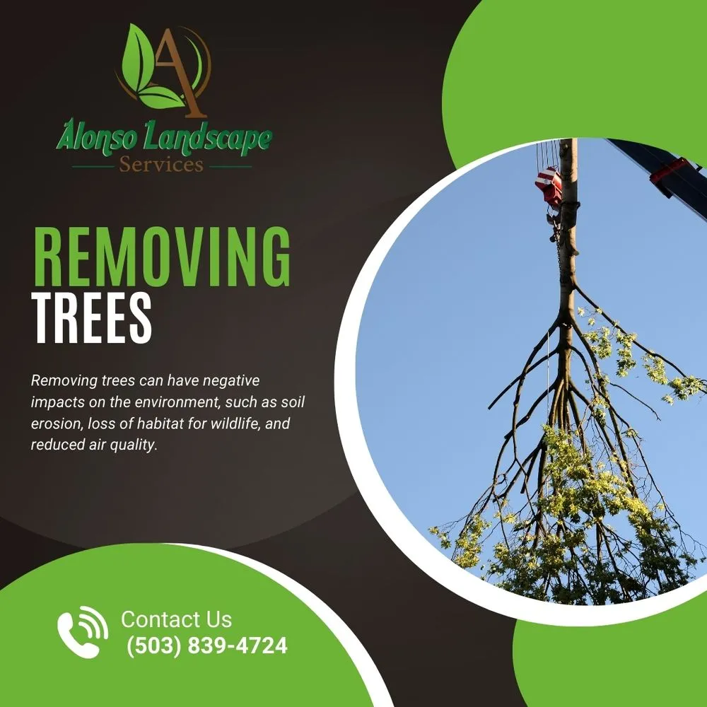 Professional outdoor landscaping in Hillsboro, OR by Alonso Landscape Services