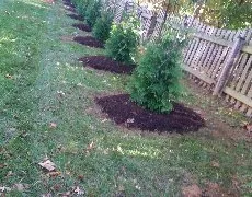 Affordable residential landscaping in Barboursville, VA by Alonso Landscaping