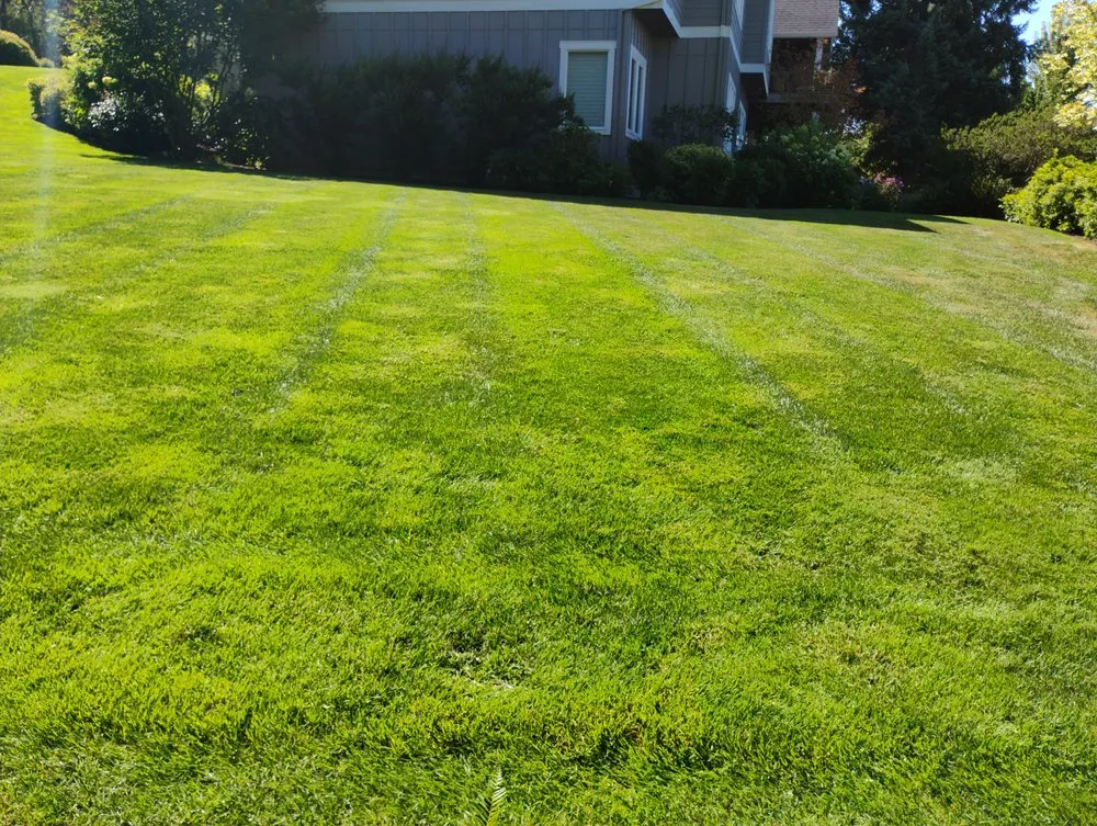 Affordable garden landscaping for outdoor upgrades across Tualatin, OR - Alonso Lanscaping