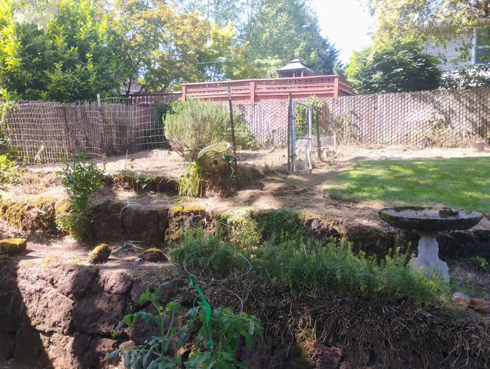 Affordable lawn mowing service experts serving Tualatin, OR - Alonso Lanscaping