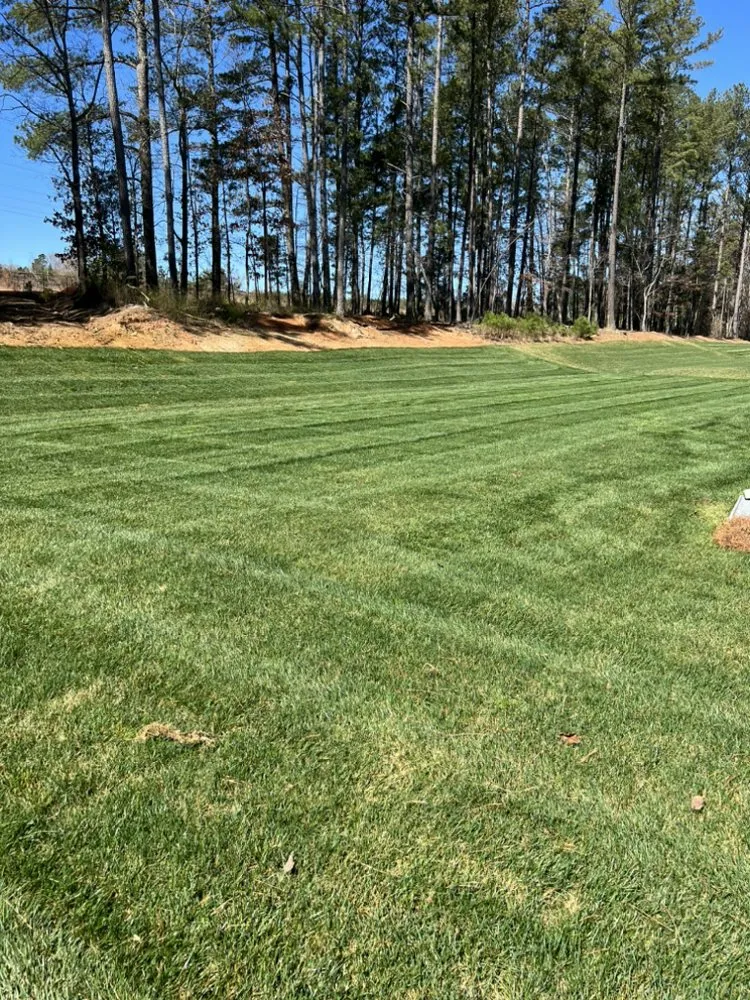 Expert landscaping services experts serving Monroe, NC - Alonso Lawn Care Service