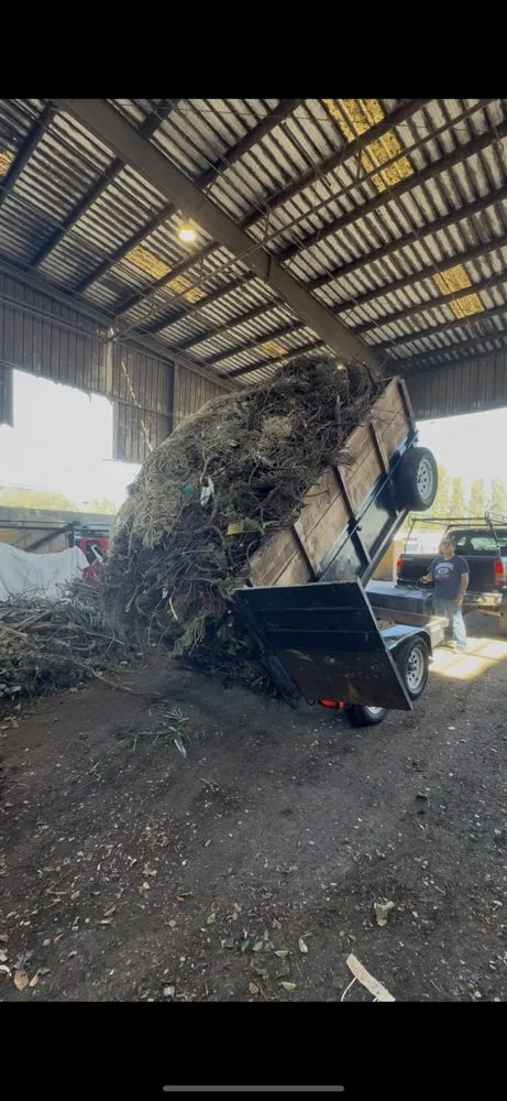 Top-rated lawn care service in Richmond, CA - Alonso's Lawncare & Junk Removal