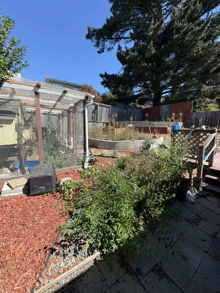 Reliable lawn care service in Richmond, CA - Alonso's Lawncare & Junk Removal