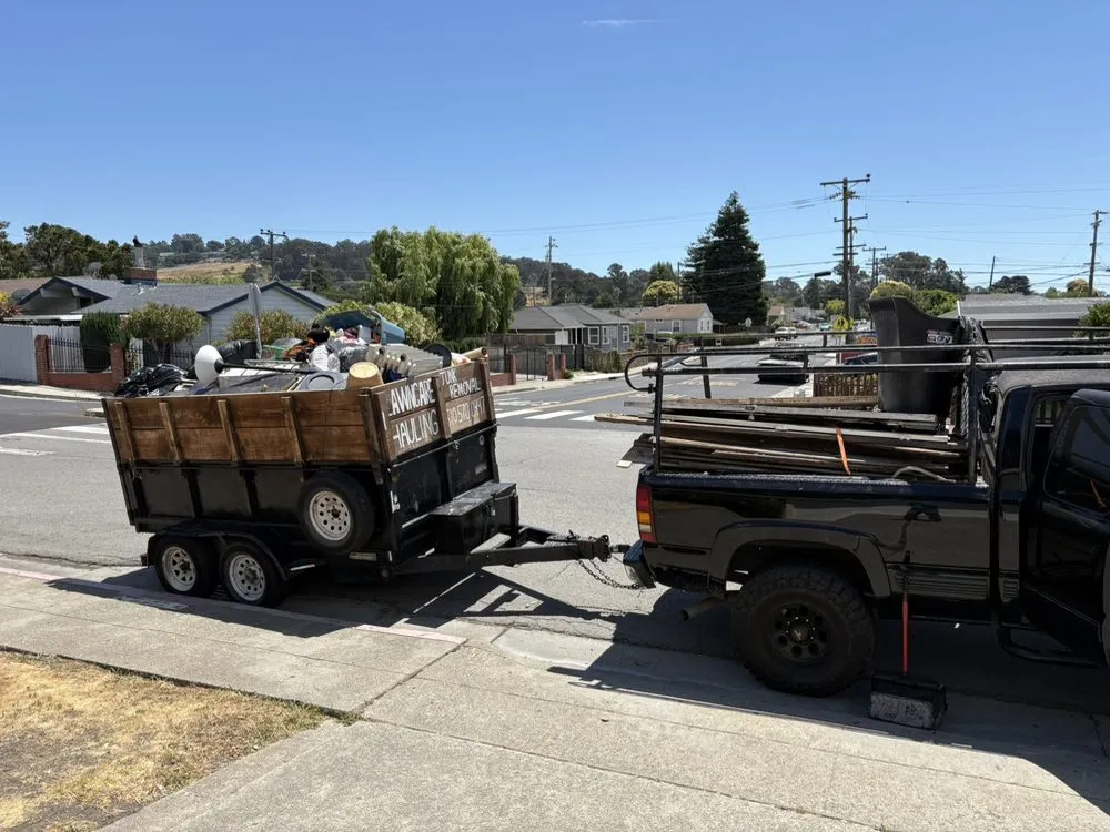 Trusted yard cleanup service in Richmond, CA - Alonso's Lawncare & Junk Removal