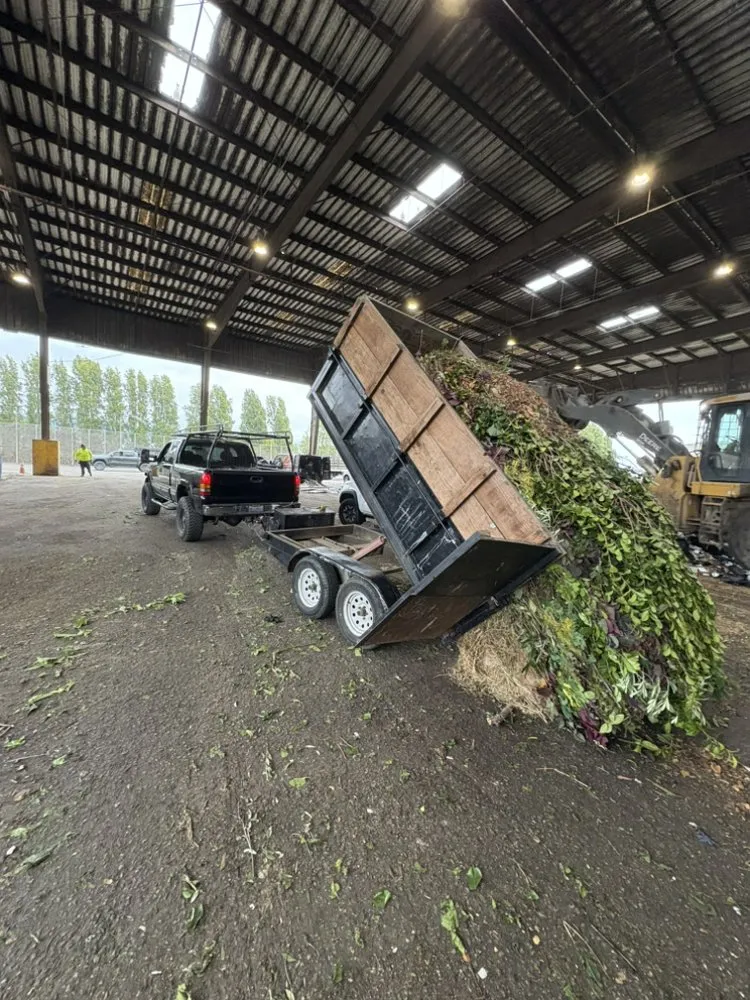 Affordable outdoor landscaping experts serving Richmond, CA - Alonso's Lawncare & Junk Removal