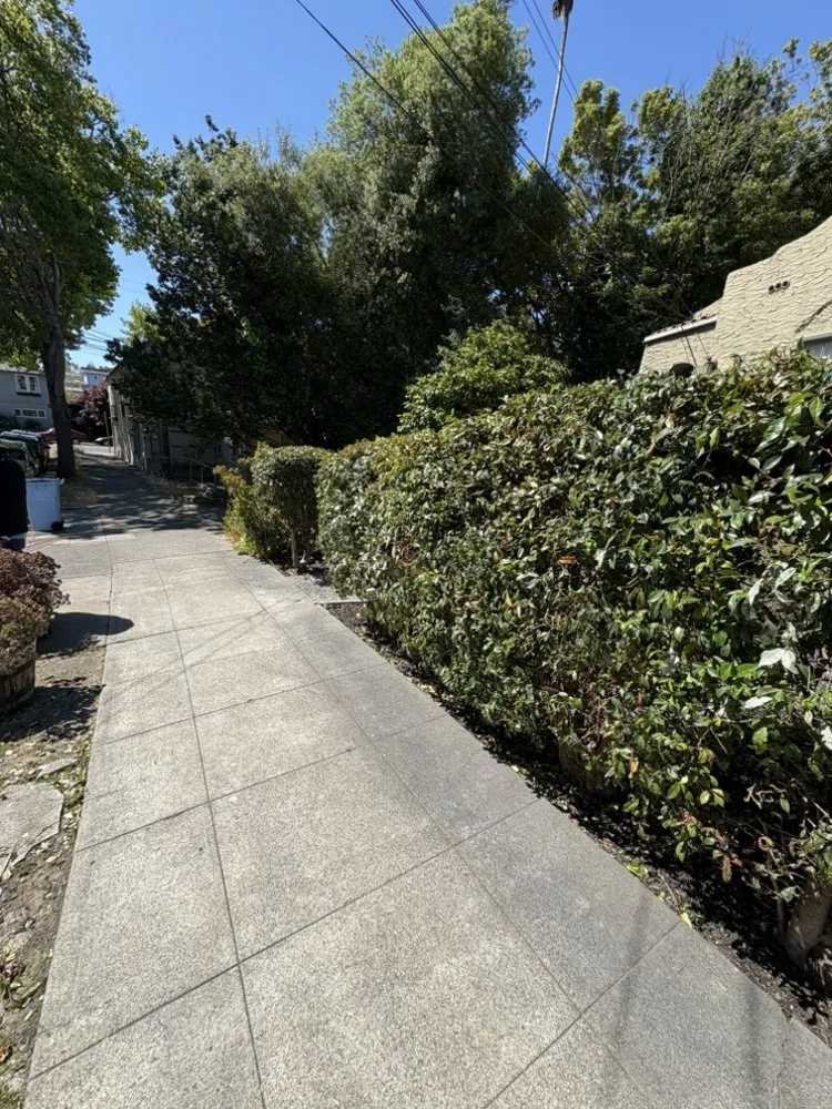 Expert landscaping services for homes across Richmond, CA - Alonso's Lawncare & Junk Removal