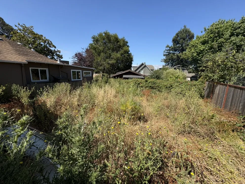 Local yard cleanup service experts serving Richmond, CA - Alonso's Lawncare & Junk Removal