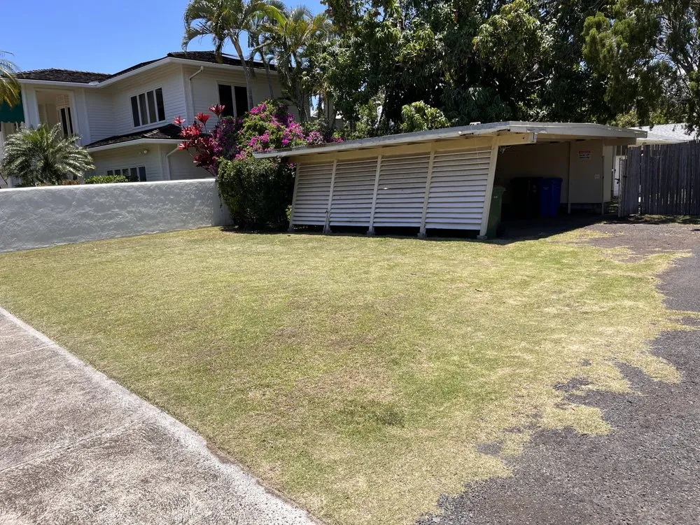 Trusted yard cleanup service for homes in Honolulu, HI by Alonto's Yard Service