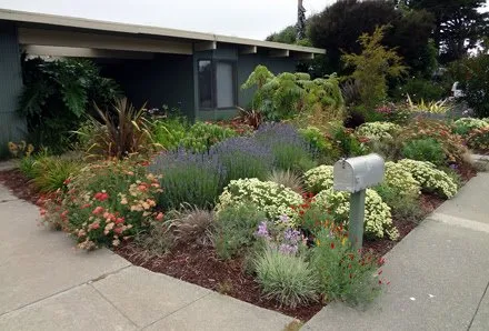 Reliable yard cleanup service experts serving Perris, CA - Alonzo Landscape