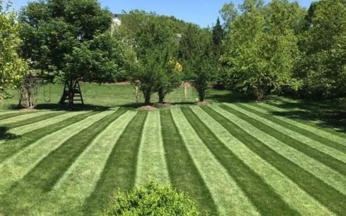 Trusted lawn mowing service in Perris, CA - Alonzo Landscape