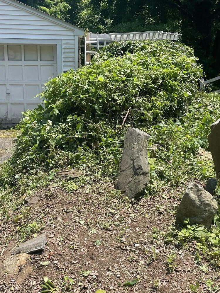 Affordable landscape installation in White Plains, NY - Alonzo Landscaping