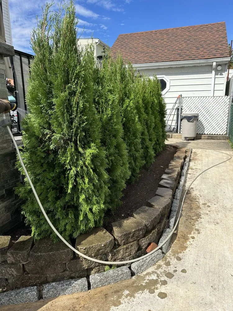 Custom landscape installation in White Plains, NY by Alonzo Landscaping