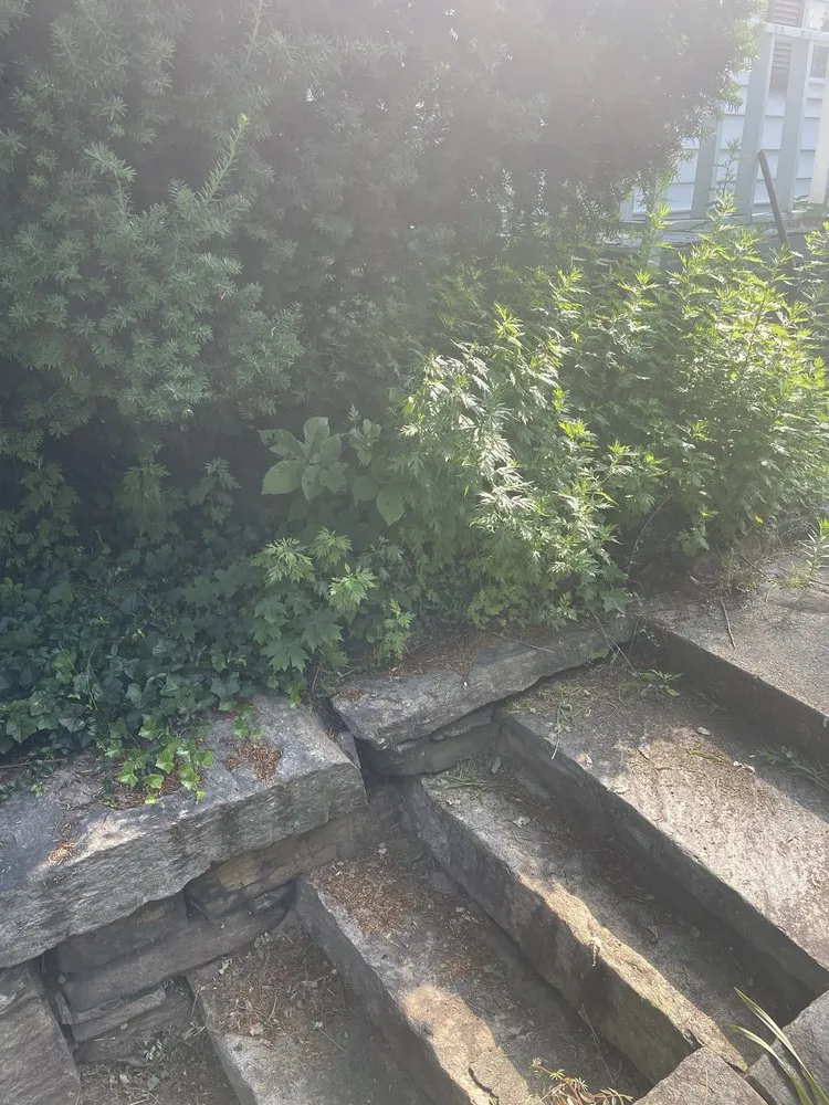 Expert landscaping services for residential properties across White Plains, NY - Alonzo Landscaping