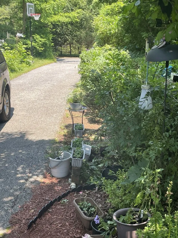 Trusted yard maintenance experts serving White Plains, NY - Alonzo Landscaping