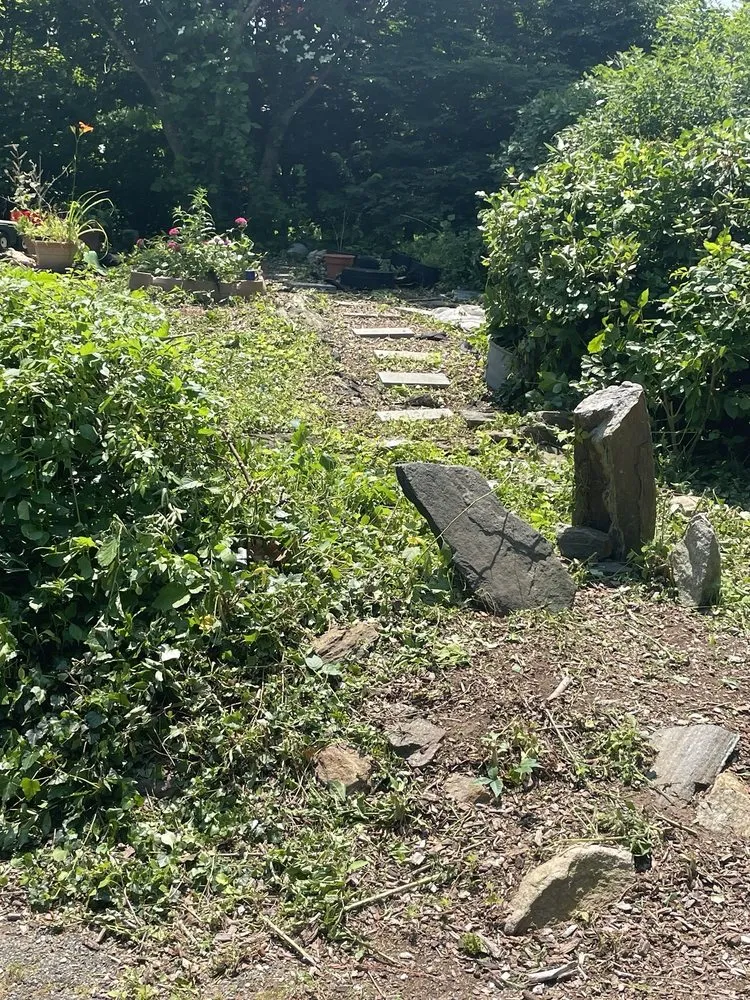 Expert residential landscaping in White Plains, NY - Alonzo Landscaping