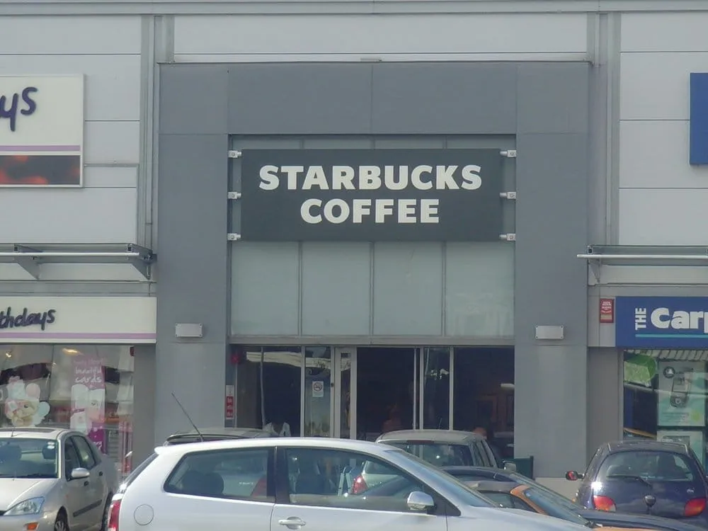 Affordable landscaping services in White Plains, NY by Alonzo Landscaping