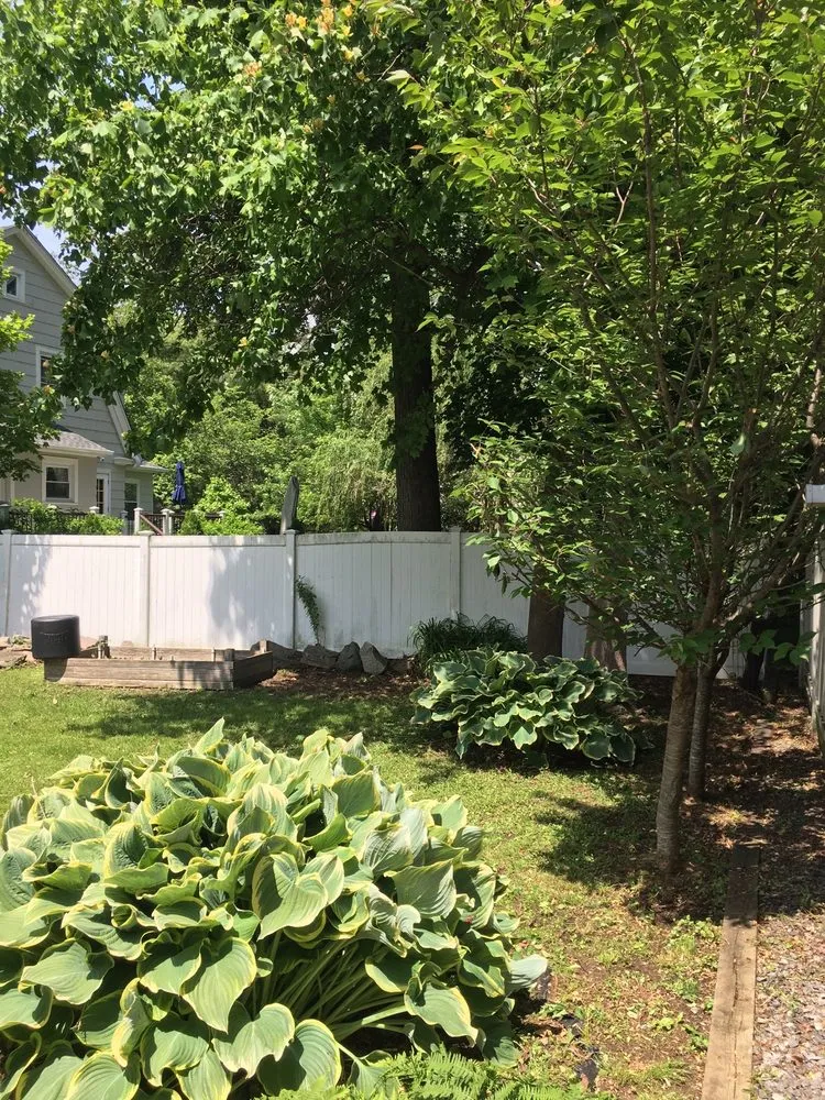 Top-rated yard cleanup service for homes in White Plains, NY by Alonzo Landscaping