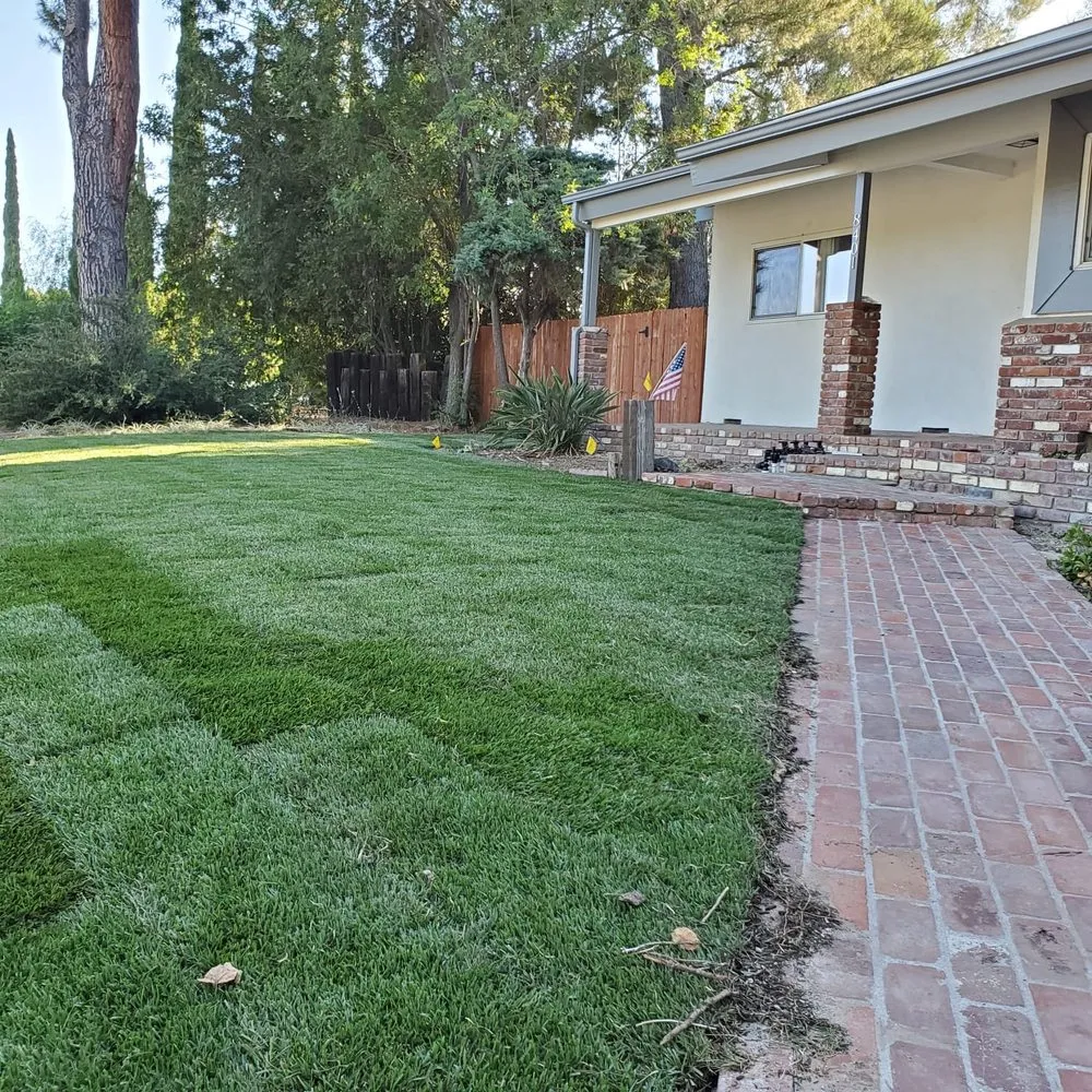Reliable lawn care service for homes across Los Angeles, CA - Alonzo’s landscape