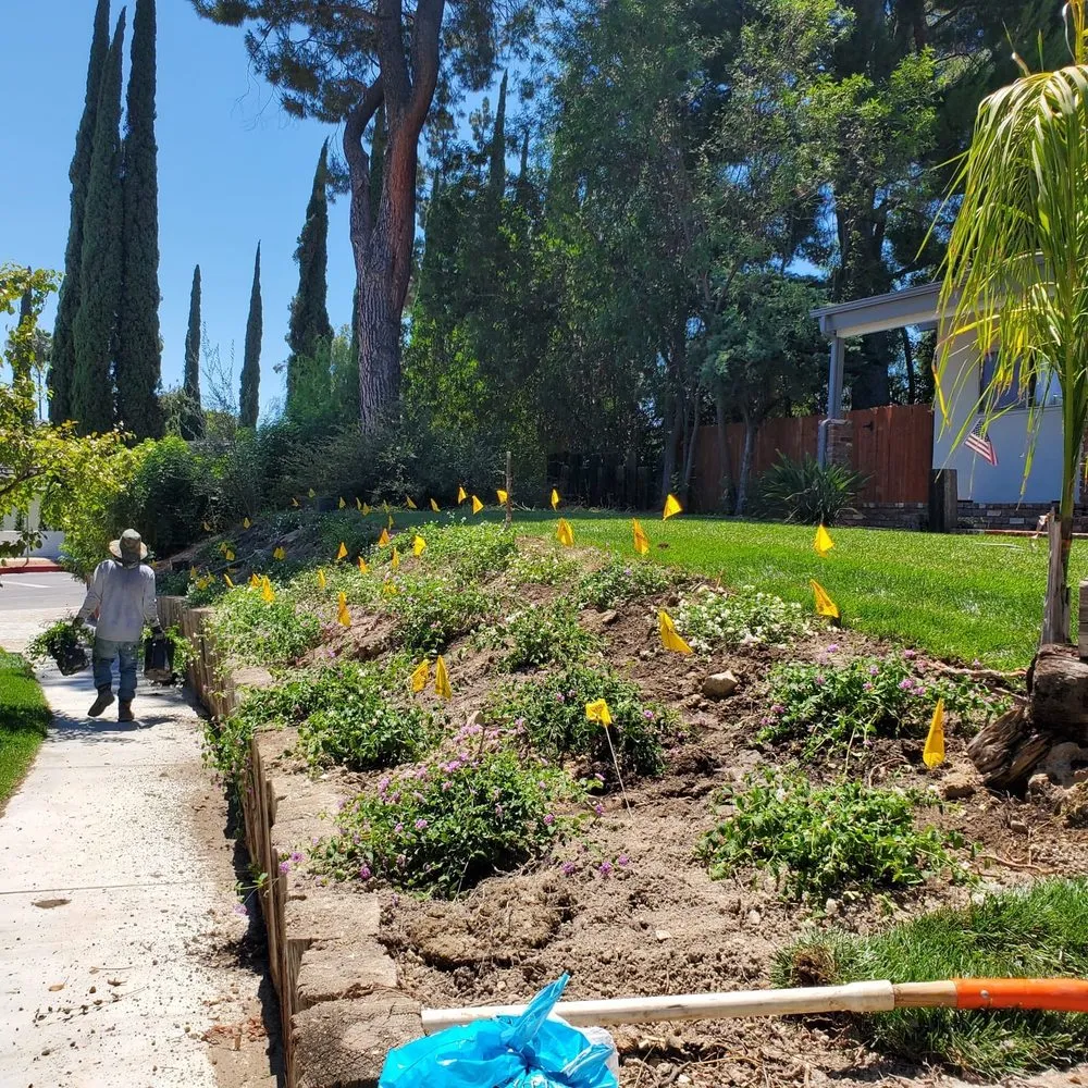 Professional outdoor landscaping in Los Angeles, CA - Alonzo’s landscape