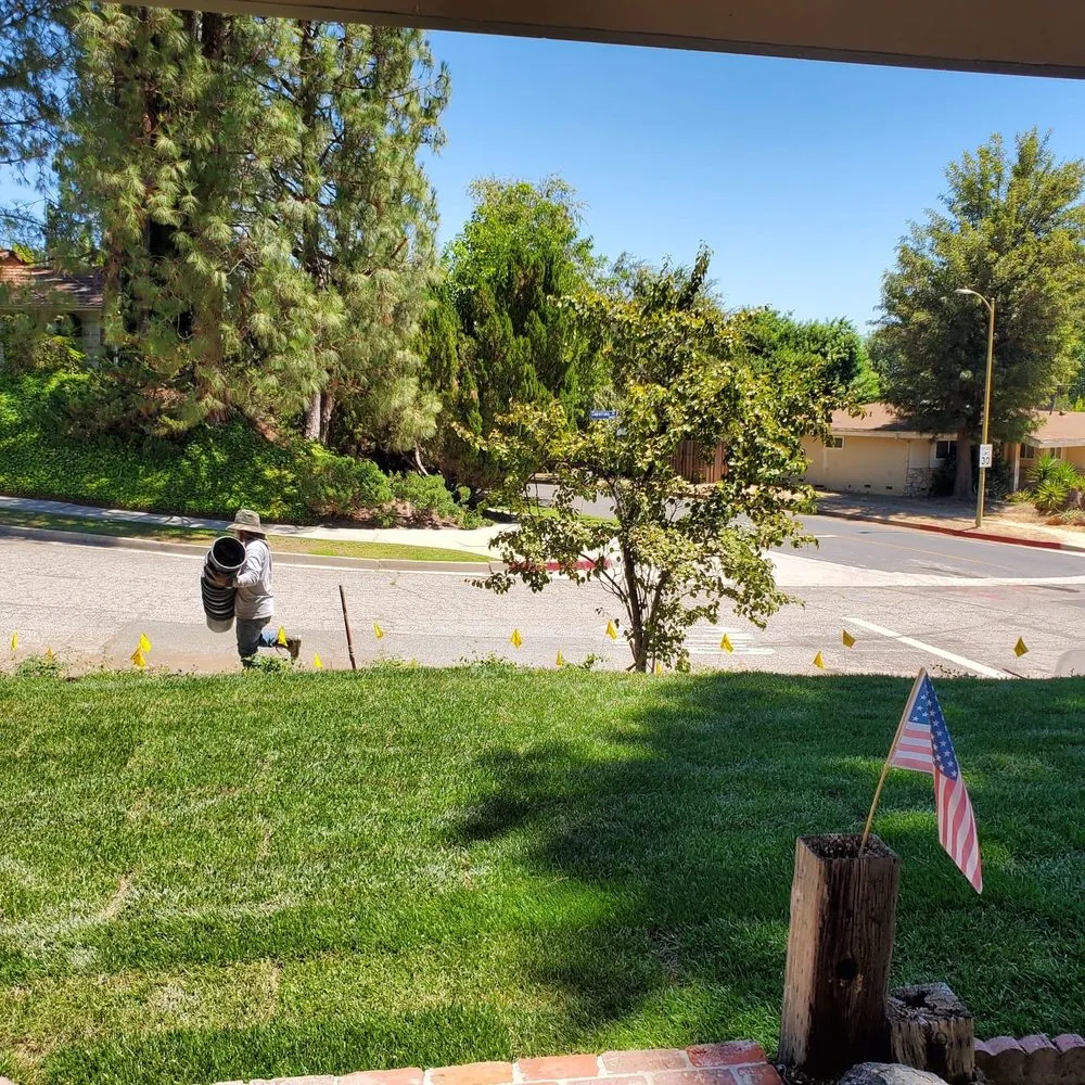 Expert landscaping services for year-round maintenance across Los Angeles, CA - Alonzo’s landscape