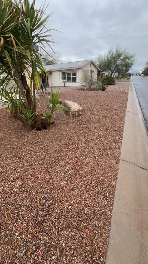 Affordable yard cleanup service in Eloy, AZ - Alonzos Landscaping