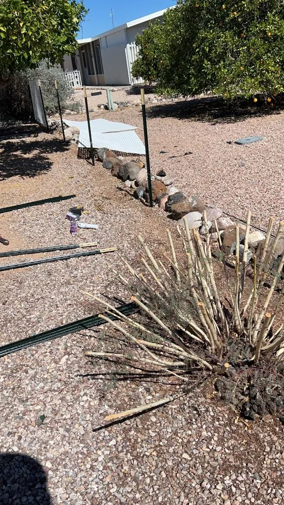 Reliable landscape design in Eloy, AZ - Alonzos Landscaping