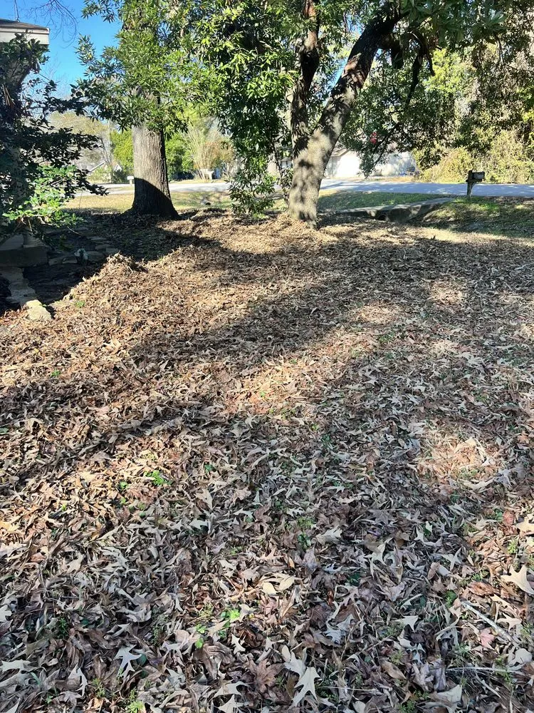 Top-rated residential landscaping in Houston, TX - Alot Moore Landscaping