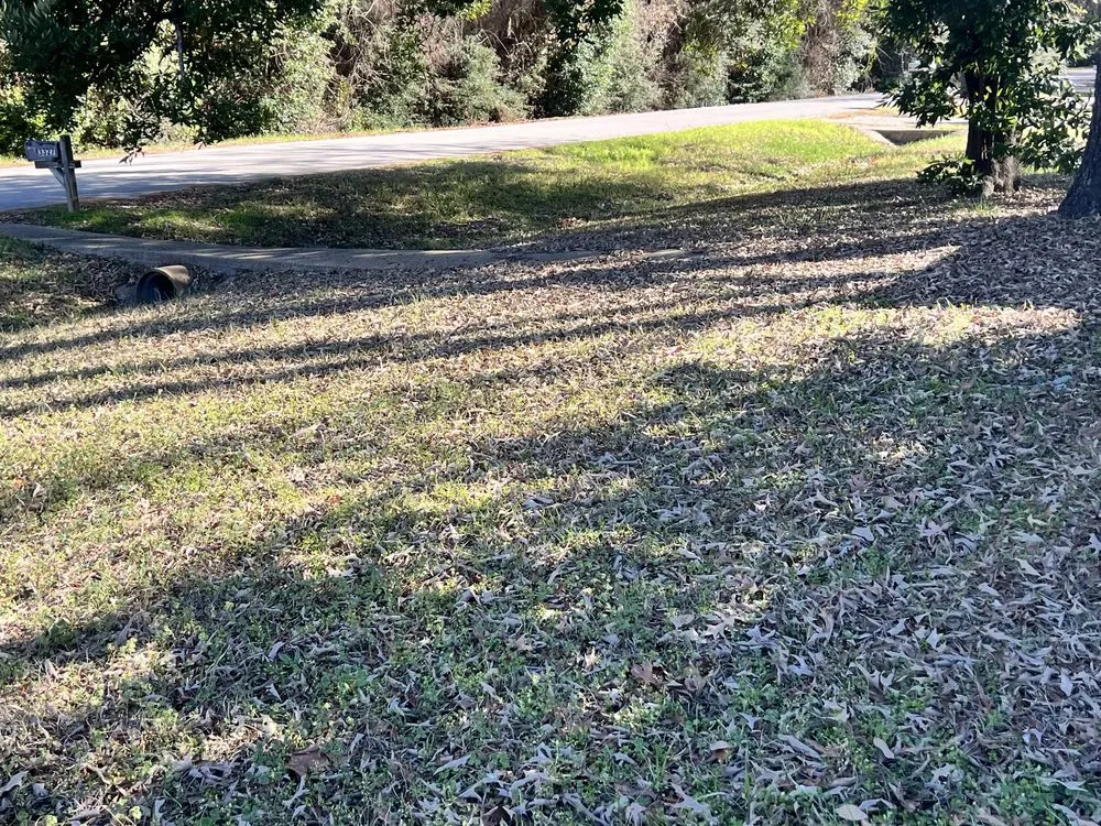 Professional lawn care service in Houston, TX - Alot Moore Landscaping