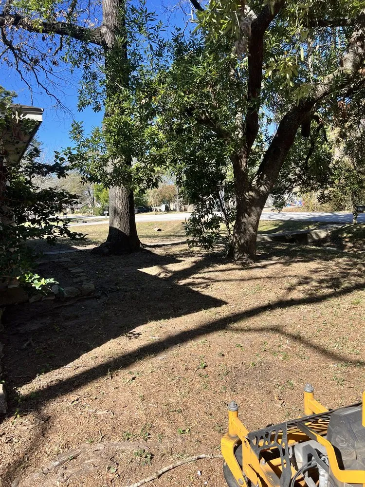 Top-rated lawn care service with custom design in Houston, TX by Alot Moore Landscaping