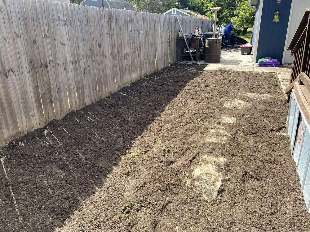 Affordable outdoor landscaping in Austin, TX - Alotta Green landscaping