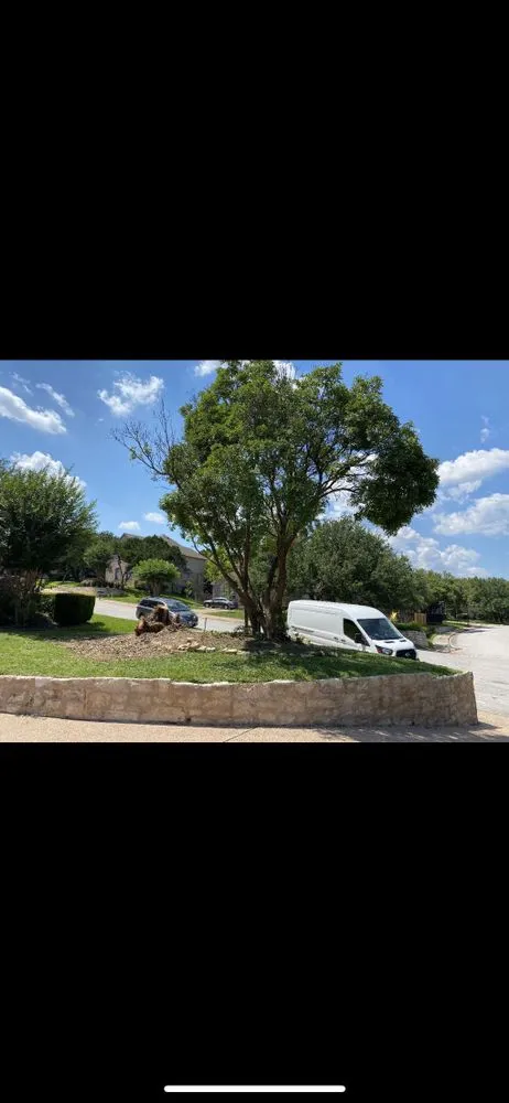 Professional lawn care service in Austin, TX by Alotta Green landscaping