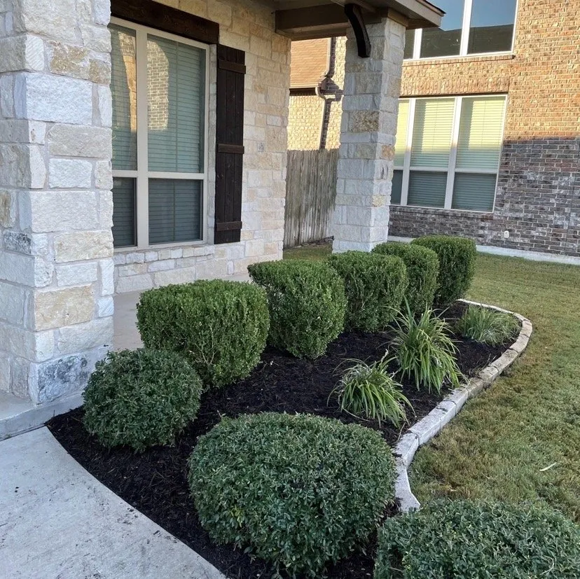 Local landscape design in Austin, TX by Alotta Green landscaping