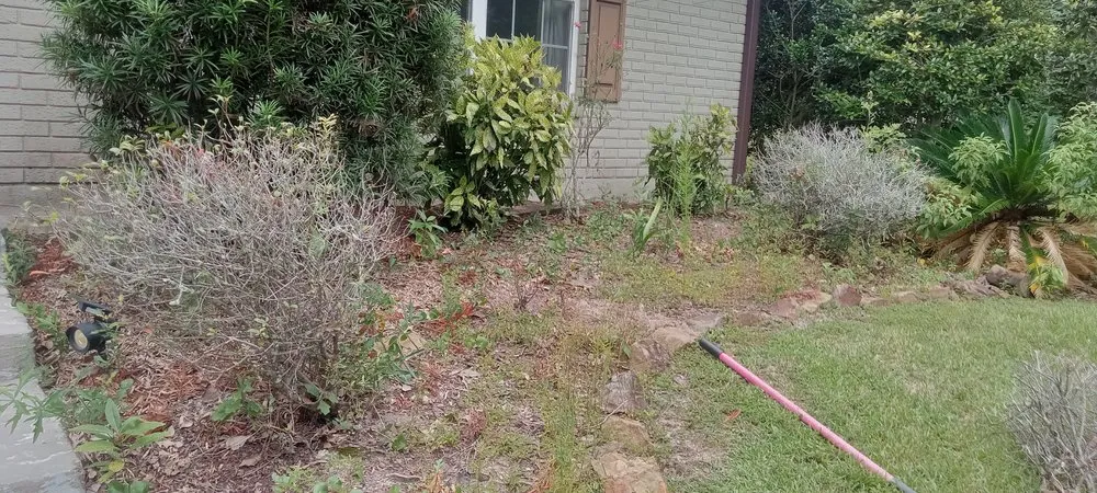 Expert yard cleanup service with custom design in Gulfport, MS by Aloysuis Lawn