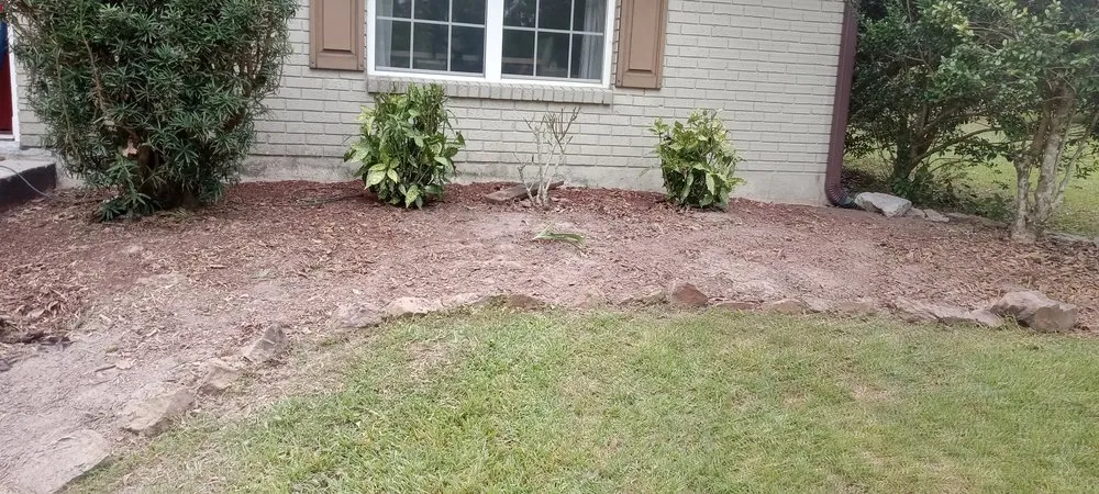 Professional lawn mowing service in Gulfport, MS by Aloysuis Lawn